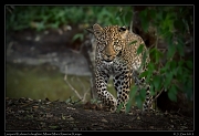 Kenya 2019